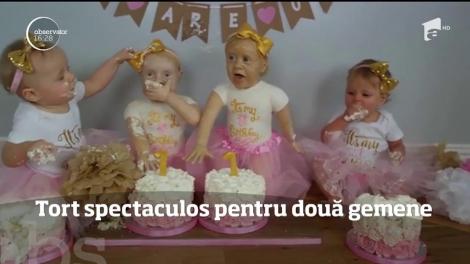 Tort spectaculos pentru două gemene