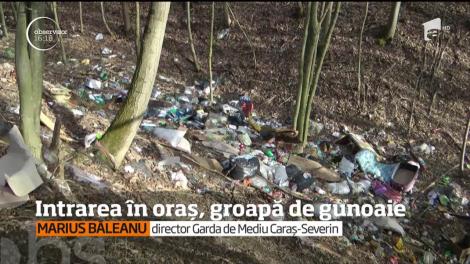 Intrarea în orașul Bocşa, groapă de gunoaie!