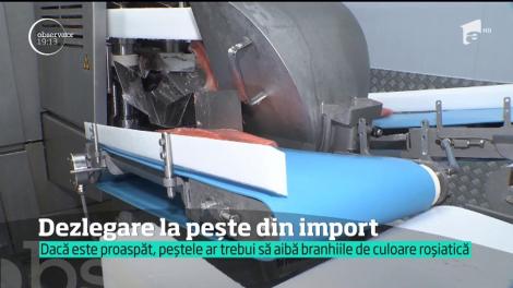 Peste 80% din peştele pe care îl mâncăm vine de la străini. Ce se întâmplă cu crescătorii noştri