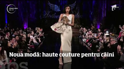 Noua modă. Hainuţe haute couture pentru câini