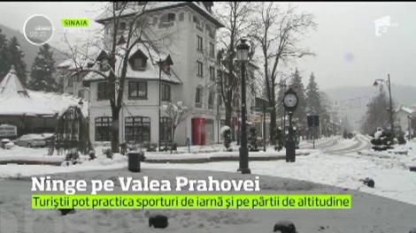 Ninge pe Valea Prahovei. La Cota 2000, stratul de zăpadă este de aproape 60 de centimetri