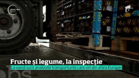 Fructele şi legumele din import, la inspecţie