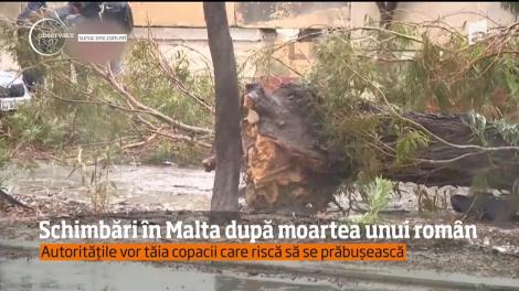 Schimbări majore în Malta după ce un român a murit strivit de un copac