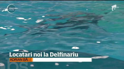 Delfinariul din Constanţa va deveni casă pentru câţiva lei de mare şi foci de port