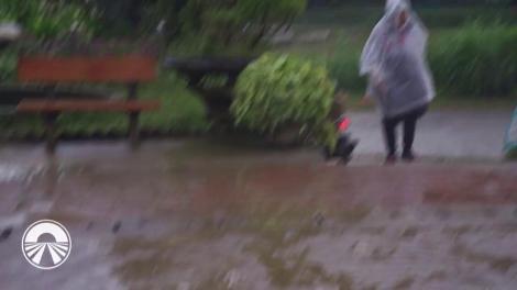 Echipele se sabotează la „Asia Express”! Dorian Popa, cu lacrimi în ochi: „Cum ar fi fost dacă eu aş fi pus-o pe mama ta să facă asta?!”