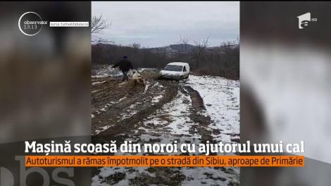 Mașină scoasă din noroi cu ajutorul unui cal, pe o stradă din cartierul Guşteriţa, Sibiu