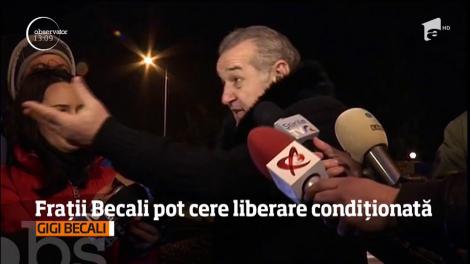 Fraţii Becali s-au întors după gratii