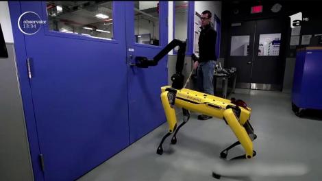 Robotul care se poate opune oamenilor! "Câinele mecanic" a fost inventat de o companie din Statele Unite