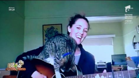 Smiley News! Cântecul realizat și pentru pisici