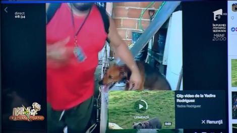 Ce dovadă mai mare de iubre? Când omul ajunge să-i pupe "mâna" câinelui său, din respect. Cel mai devotat prieten al omului, răsplătit pe măsură