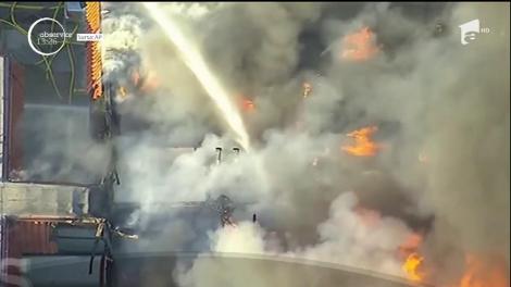 Locuințe distruse de flăcări în California