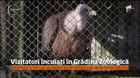 Două femei şi trei copii au rămas captivi zeci de minute în Grădina Zoologică din Oradea