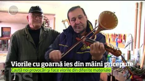 Viorile cu goarnă ies din mâini pricepute