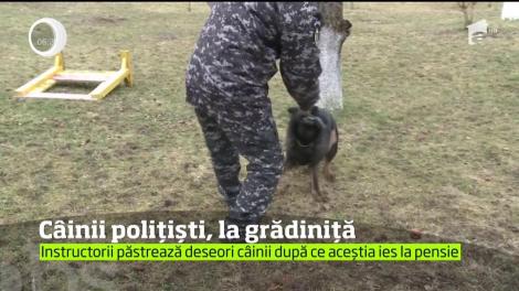 Câinii polițiști își încep cariera la Centrul Chinologic din Sibiu