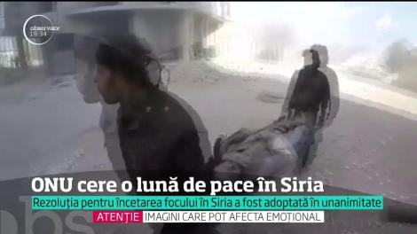 Consiliul de Securitate al Organizaţiei Naţiunilor Unite cere o lună de pace în Siria