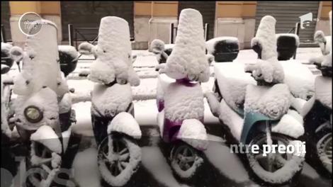 Bătaie cu bulgări de zăpadă între preoți, la Vatican