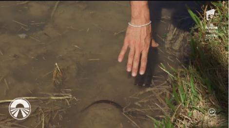 ”Ție frică!” Concurenții, puși să prindă pești care curenteză!