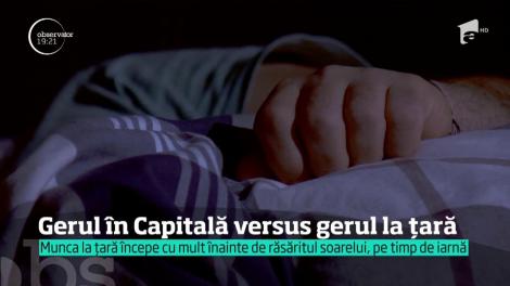 Gerul în Capitală vs. gerul la țară. Cum se descurcă într-o dimineaţă geroasă un angajat de la oraş şi un ţăran autentic
