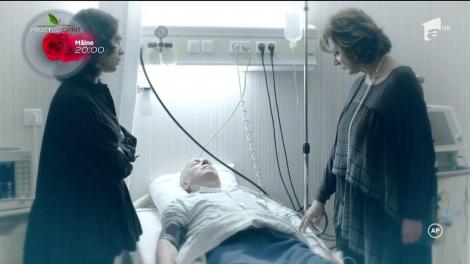 "Fructul Oprit", episodul 7 online. Roxana Baicu Popovici, între viață și moarte. Sonia trece prin momente cumplite: "Să zaci în patul ăsta de spital, până o să te mănânce viermii!"