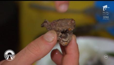 ”Asta e un cap de șobolan. Acum îi mănânc creierul!” Iată dovada că Dorian Popa mâncă orice: ” M-a încercat un sentiment de panică, dar foamea urla”