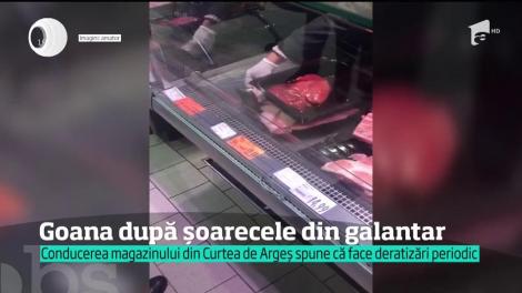 Un şoarece a fost filmat în timp ce se plimba printre bucăţile de carne din vitrina unui supermarket