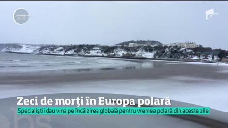 Zeci de morți în Europa polară