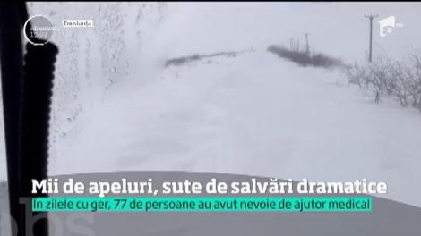 Scene dramatice, în mijlocul URGIEI! O femeie a leșinat în fața reporterilor Observator, din cauza GERULUI. Ambulanța a fost chemată de urgență