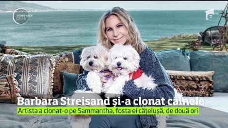 Barbara Streisand şi-a clonat câinele! Şi nu doar o dată, ci de două ori!