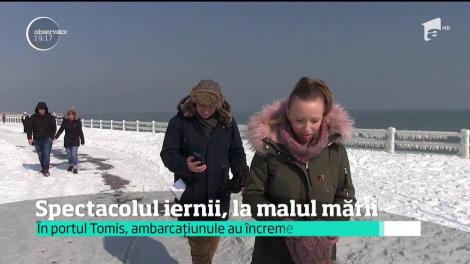 Malul mării a devenit un regat îngheţat