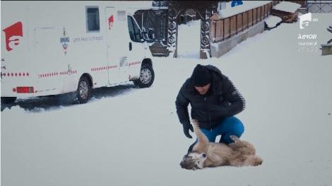 A cerut sfatul unui câine și a dat cu mătura! Ionuț Iftimoaie, în căutarea mândrei "cele mai mândre" din sat: "Am nevoie de tine, ascultă-mă! Bate palma cu mine!"