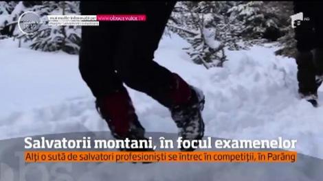 Salvatorii montani, în focul examenelor