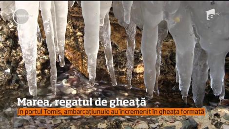 Malul mării s-a transformat într-un regat îngheţat
