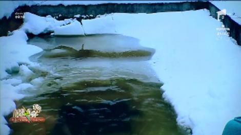 Smiley News. Un sucevean sfidează zilnic gerul, făcând scufundări într-o păstrăvărie. Vai di mini, sî di mini, râdim noi, dar nu e râsul nostru!