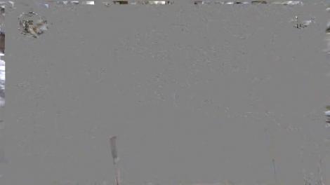 Un seism ar fi provocat avalanşa din Vrancea, în care o tânără a fost ucisă