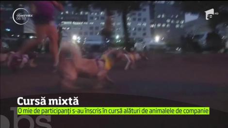 Cursa alături de animalelel de companie, în Manila