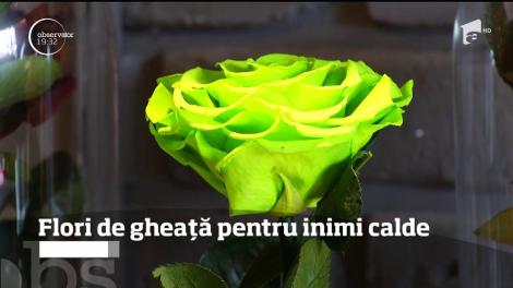Noua modă de cadourile pentru 8 Martie: trandafirul criogenat! Cât vă costă, domnilor, să vă surprindeți partenera cu un dar nemuritor