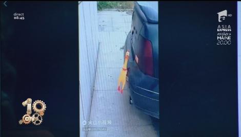 Smiley News. Vrei senzori de parcare pe mașina ta? Acum îți poți pune și singur