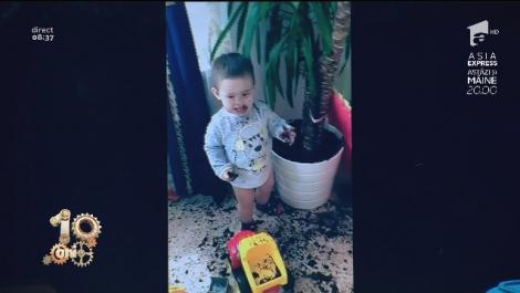 Femeia și-a lăsat cei doi copii acasă să se joace, dar a trăit un adevărat ȘOC atunci când a văzut rezultatul! Ce au făcut băieții