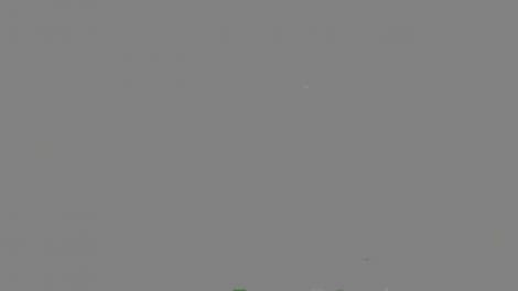 Ţepele online sunt la ordinea zilei. Firme obscure îşi construiesc site-uri atrăgătoare