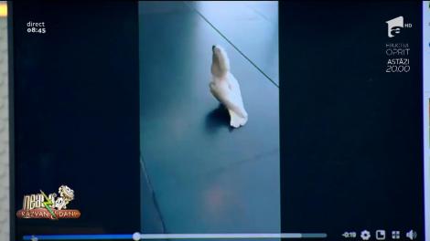 Credeai că le-ai văzut pe toate?! Oamenii de pe trotuar s-au speriat atunci când a apărut papagalul...lătrător! (VIDEO)