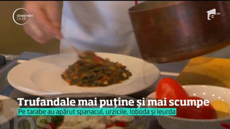 Pieţele sunt pline de verdeţuri, dar la preţuri foarte mari! Un kilogram de urzici costă şi 25 de lei
