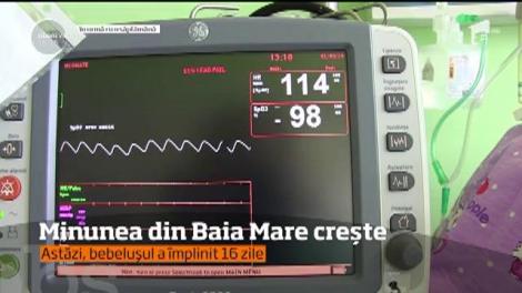 Minune de 8 Martie pentru o mamă! Bebelușul ei, cel mai mic pui de om pe care medicii l-au văzut, a luat în greutate 20 de grame și se luptă pentru viață