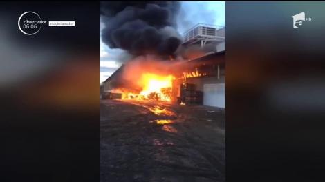 Un supermarket din Mediaş a fost cuprins de un incendiu violent