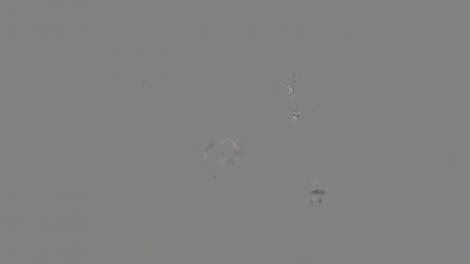 Fete, vedete şi talente! Concurentele au trecut prin proba artistică a finalei!