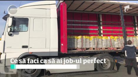 Ce să faci ca să ai job-ul perfect