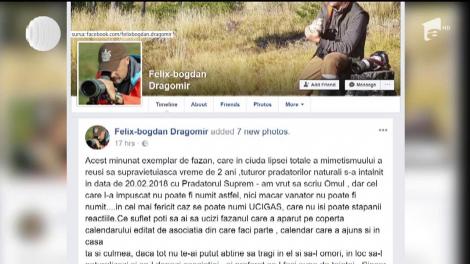 Revoltă după împuşcarea unui fazan alb