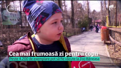 Gradina Zoologică din Băneasa a fost luată cu asalt în acest weekend