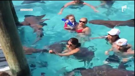 Soţia şi fiica lui Ice-T, înot printre rechini