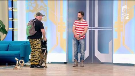 Dresaj de pază. Agresivitatea animalelor față de alte animale și față de oameni