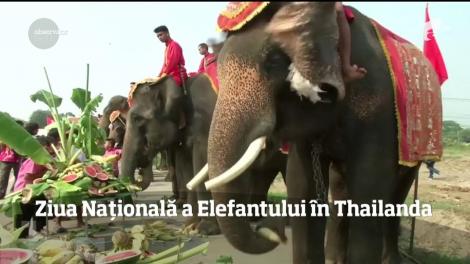 De Ziua Naţională a Elefantului, în Thailanda s-a dat startul distracţiei